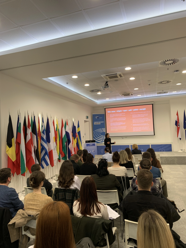 Discussion “Prospects of implementation of the EU Digital Services Act in the context of upcoming European elections”